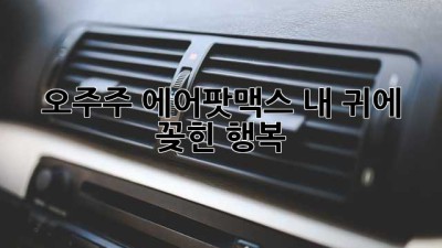 오주주 에어팟맥스🎧: 내 귀에 꽂힌 행복✨