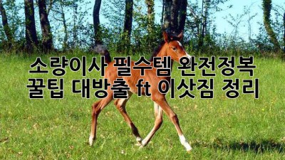 📦 소량이사 필수템 완전정복! 꿀팁 대방출 (ft. 이삿짐 정리) 🏡
